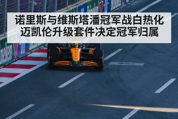 诺里斯与维斯塔潘冠军战白热化 迈凯伦升级套件决定冠军归属
